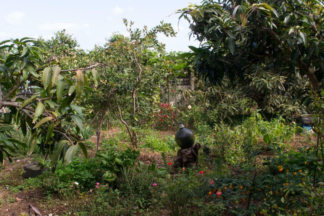 Bodega Goyo Διαμέρισμα Puntallana Εξωτερικό φωτογραφία