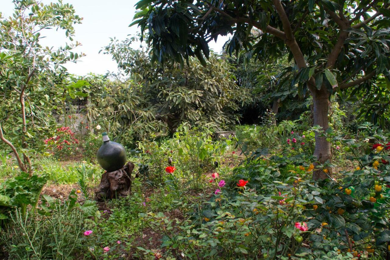 Bodega Goyo Διαμέρισμα Puntallana Εξωτερικό φωτογραφία