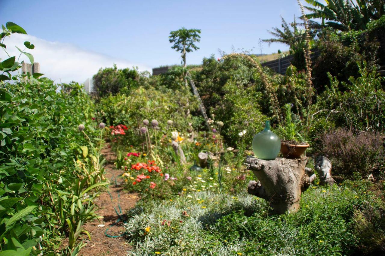 Bodega Goyo Διαμέρισμα Puntallana Εξωτερικό φωτογραφία